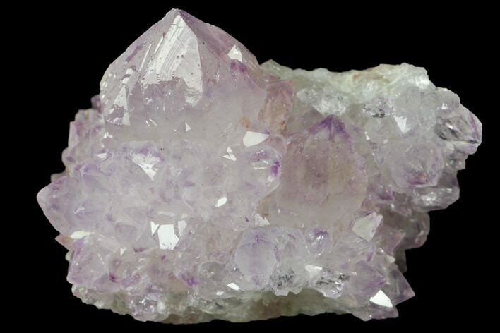 Cactus Quartz (Amethyst) Crystal Cluster - South Africa #132470